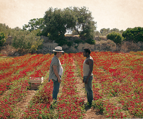 Il potere dell'oro rosso un film di Davide Minnella